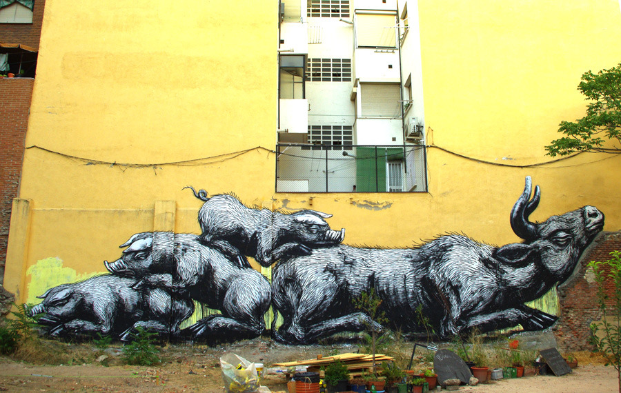 roa3