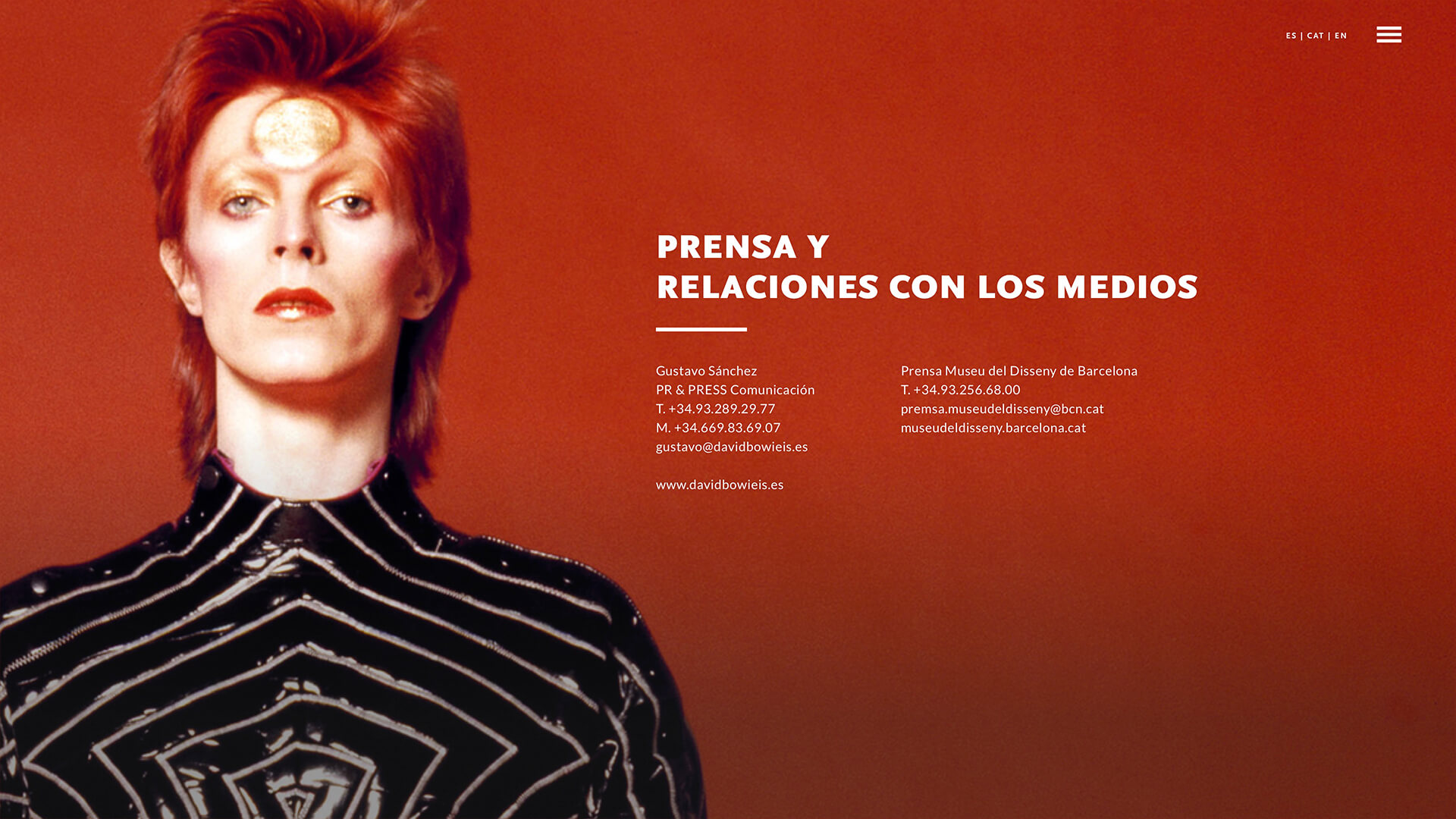 Image of David Bowie is