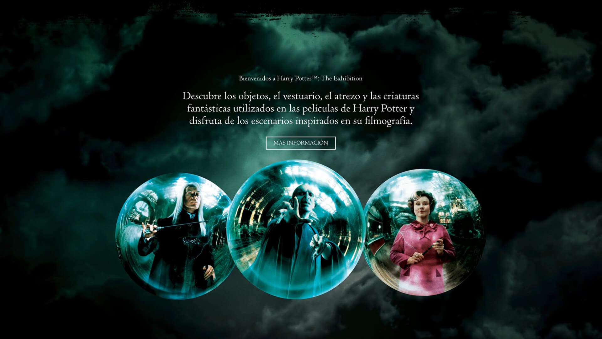 Image of Website development Harry Potter