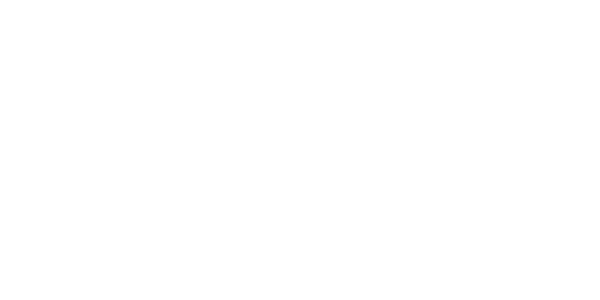 Logotipo de Diguards