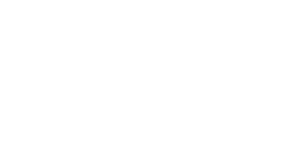 Logotype of Primeale website development